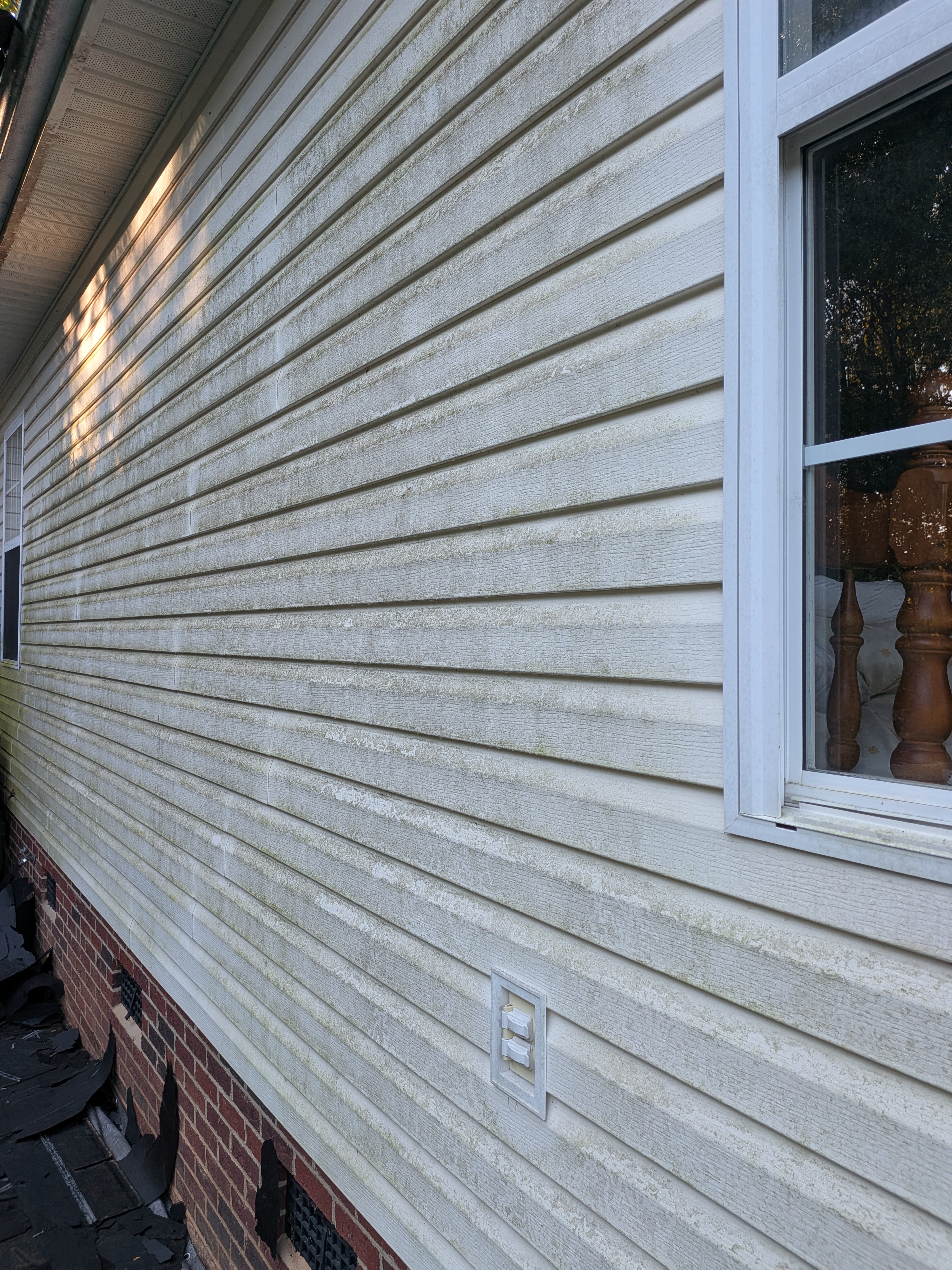 Before house washing: visible organic buildup across light-colored residential siding